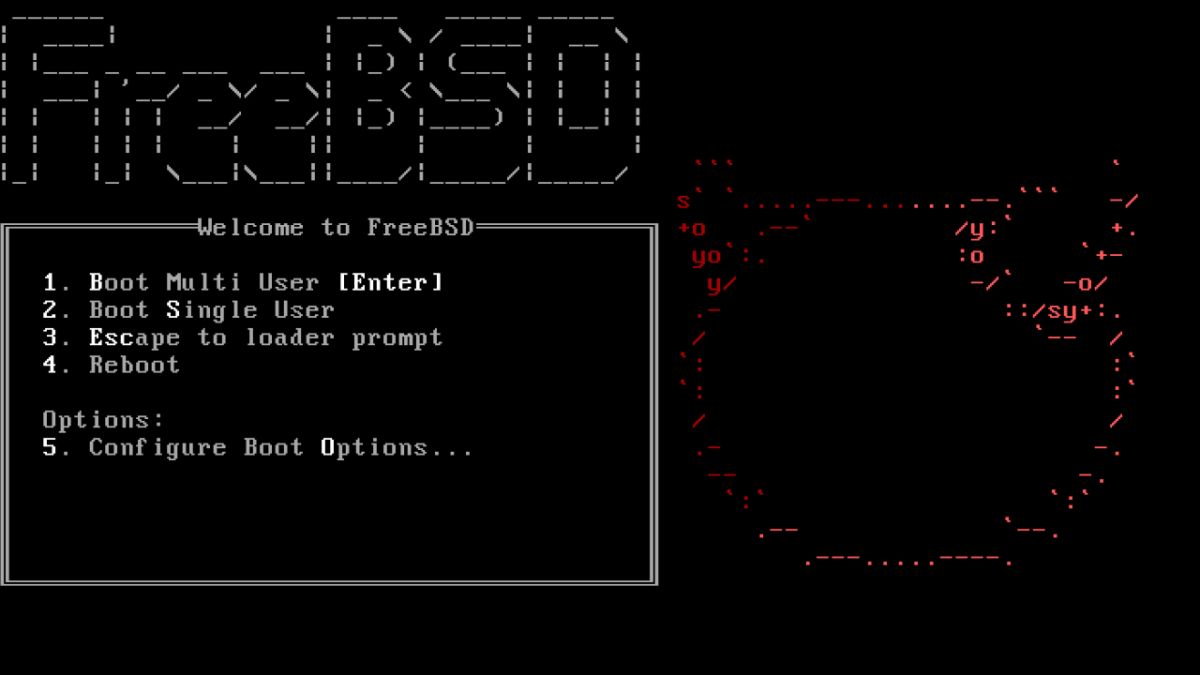 A Comprehensive Guide to FreeBSD 2023 for Developers