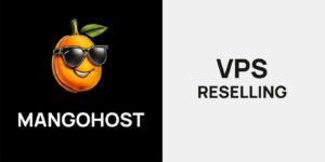 Becoming a VPS Reseller: What You Need To Know From The Start