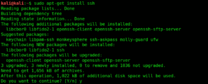 Enable SSH on Kali Linux
