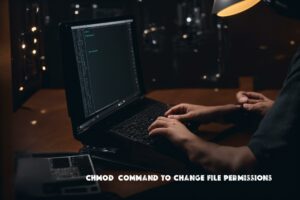 chmod for Linux (Command to change file permissions) – Usage