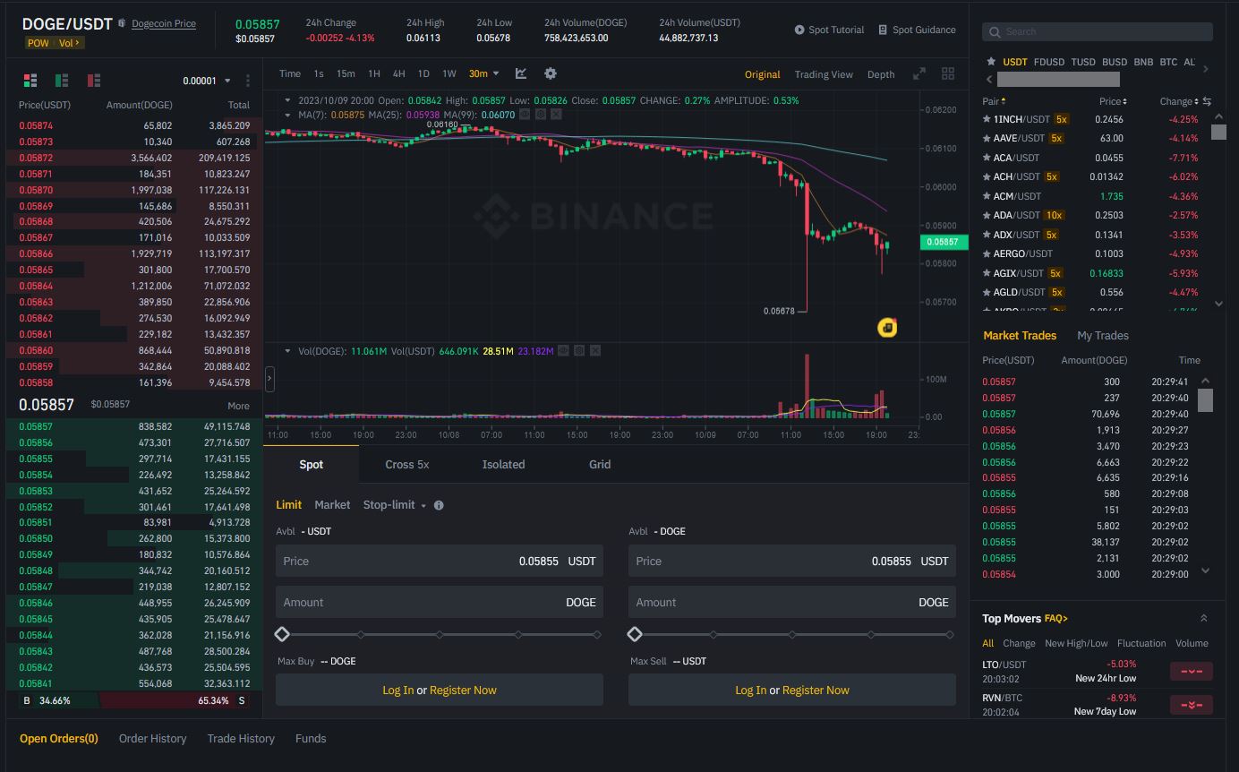 doge usd binance trading